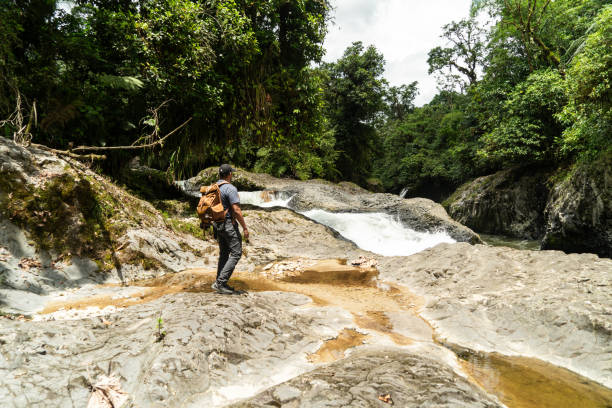 istock Lonely man looks at a jungle landscape. 1774744214