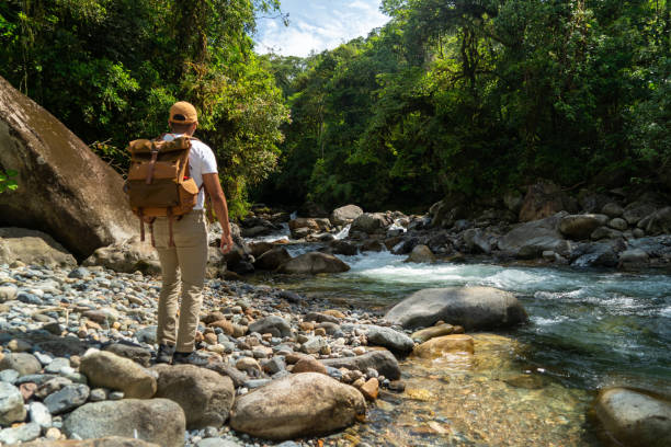 istock Lonely man looking at the jungle and nature 1774746385