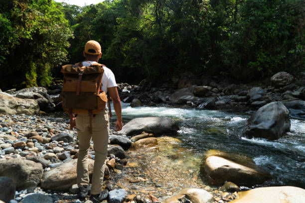 istock Lonely man looks at a jungle landscape. 1774746389