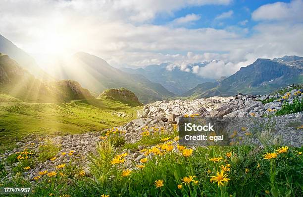 Bergelandschaft Stockfoto und mehr Bilder von Berg - Berg, Landschaft, Blume