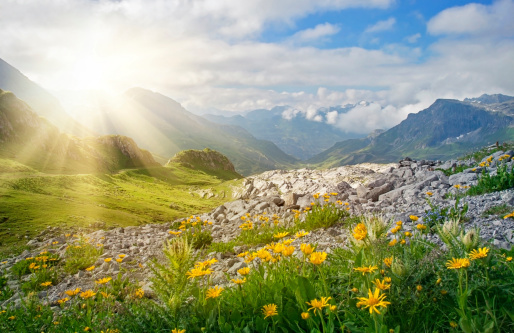 Scenic panoramic view of idyllic rolling hills landscape with blooming meadows and snowcapped alpine mountain peaks in the background on a beautiful sunny day with blue sky and clouds in summertime