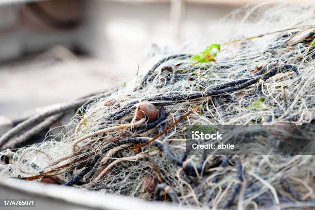 Fishing Net Stock Photo - Download Image Now - Close-up, Color Image, Copy Space