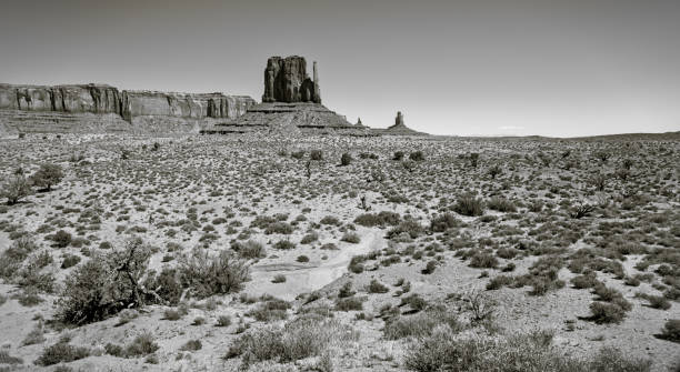 istock Monument Valley, desert and landscape (Arizona) 1774783073