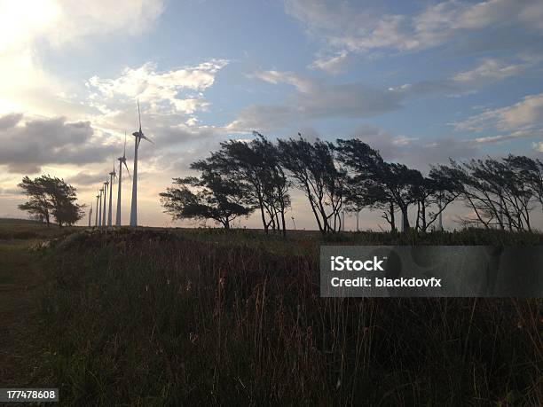 Пейзаж Ветроэнергетика — стоковые фотографии и другие картинки Австралия - Австралазия - Австралия - Австралазия, Без людей, Большой город
