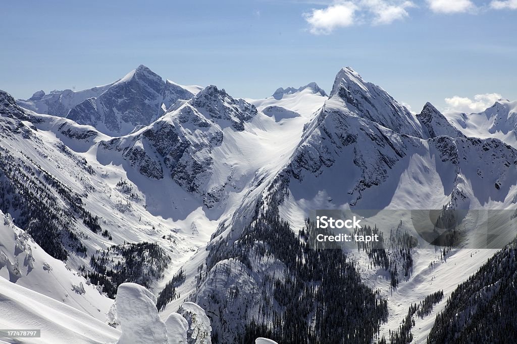 На Горы Монаши Британская Колумбия, Канада - Стоковые фото Extreme Skiing роялти-фри