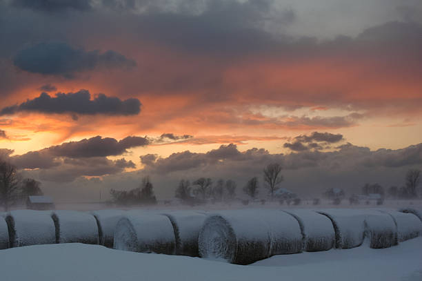 istock Winter Sunset With Snowy Bales of Hay 177480295