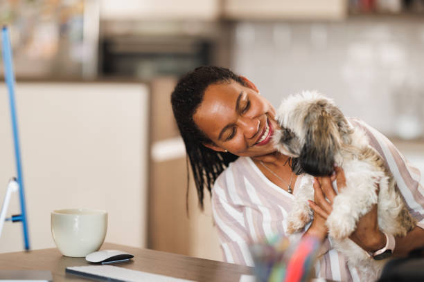 istock My Best Friend Always Wants To Cuddle While I'm Working 1774820892