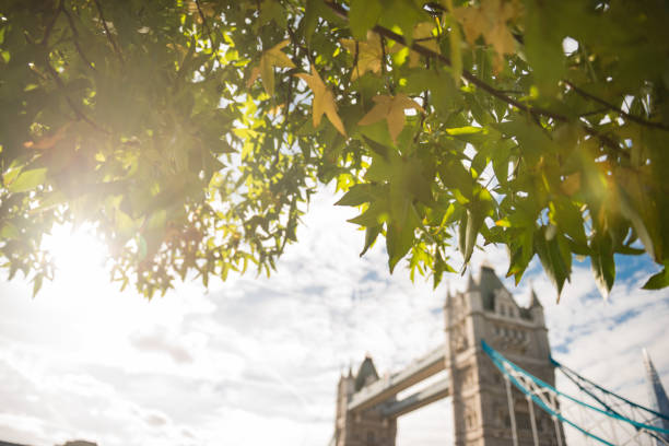 istock autumn season in London 1774827433