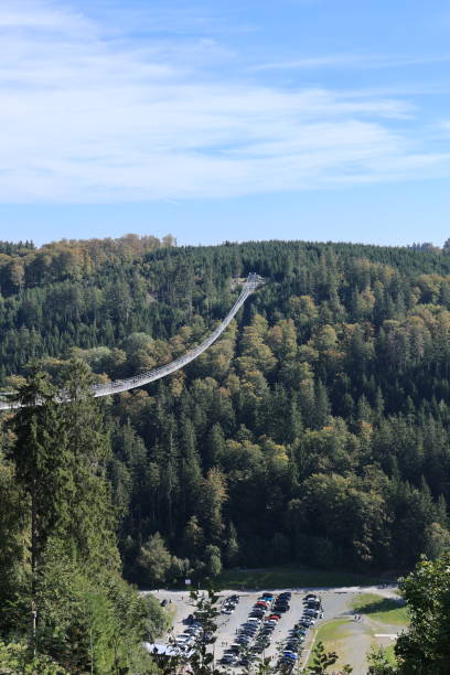 istock Autumn in the Sauerland 1774868643