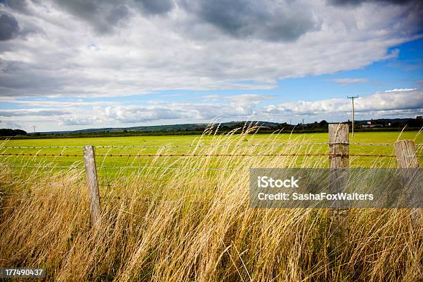 Stacheldraht Zaun Stockfoto und mehr Bilder von Agrarbetrieb - Agrarbetrieb, Dramatischer Himmel, Feld