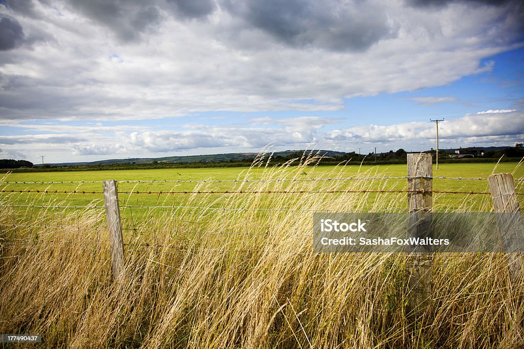 Filo spinato recinzione - Foto stock royalty-free di Agricoltura