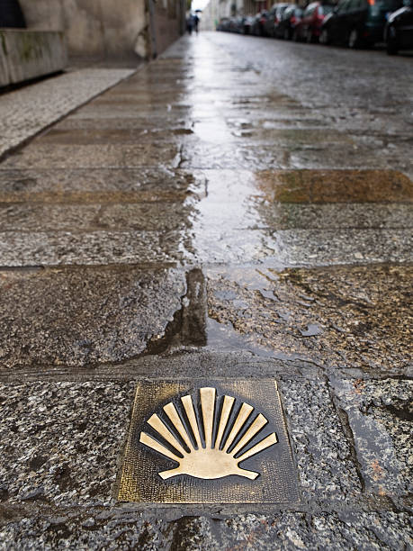 istock Pilgrim's shell (Venera) in the way of Santiago de Compostela. 177491176