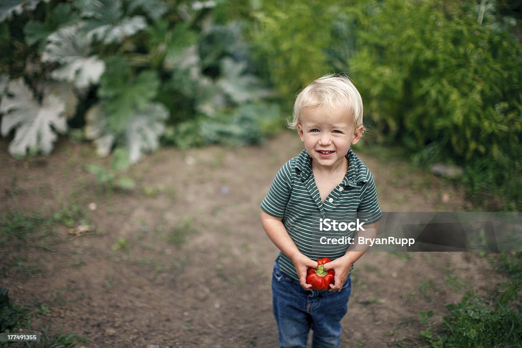 Ładny mały chłopiec stojąc na ogród - Zbiór zdjęć royalty-free (2-3 lata)