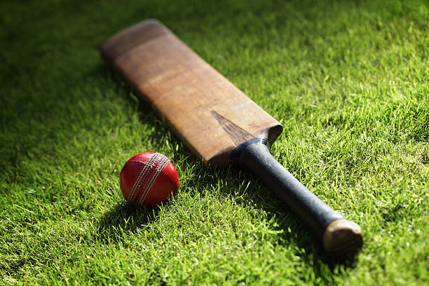 cricket-schläger und ball - traditionelle sportarten stock-fotos und bilder