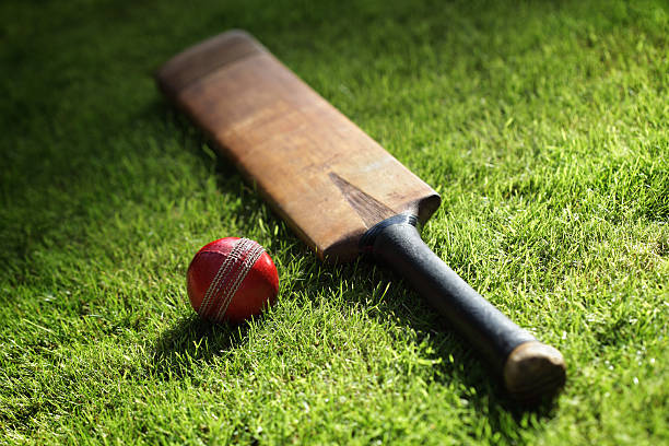 Cricket bat and ball Cricket bat and ball on green grass of cricket pitch cricket bat stock pictures, royalty-free photos & images