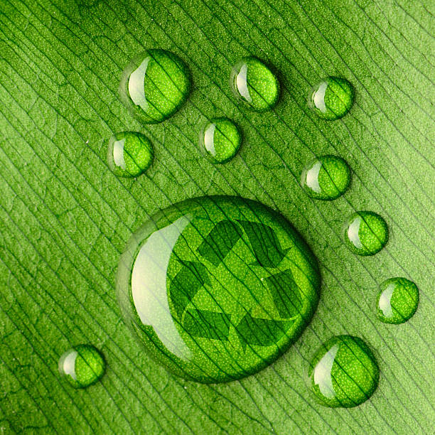 istock Water drops on leaf and recycle logo 177491505
