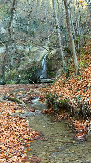 vertical picture of a landscape background of an autumn forest in gray-orange tones with fallen leaves on the rocky banks of a stream and a small beautiful waterfall in the wilderness
