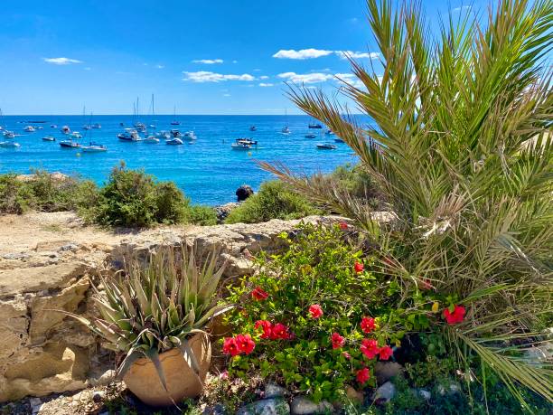 Spain - Alicante - Tabarca Island