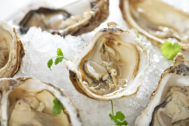 istock Fresh oysters platter served in ice 177492727