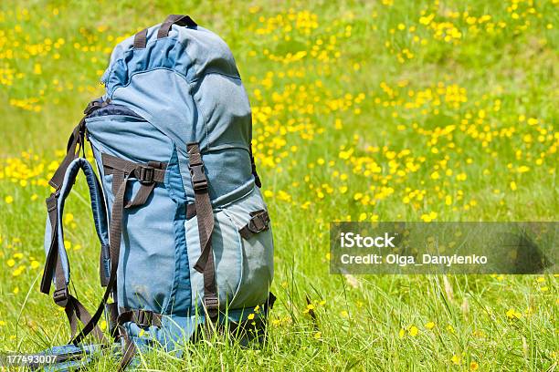 Single Blue Backpack Against Green Meadow Stock Photo - Download Image Now - Backpack, Concepts, Grass