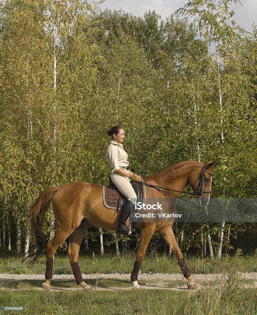 Jeune femme chevauchant un cheval à travers la forêt - Photo de Activité libre de droits