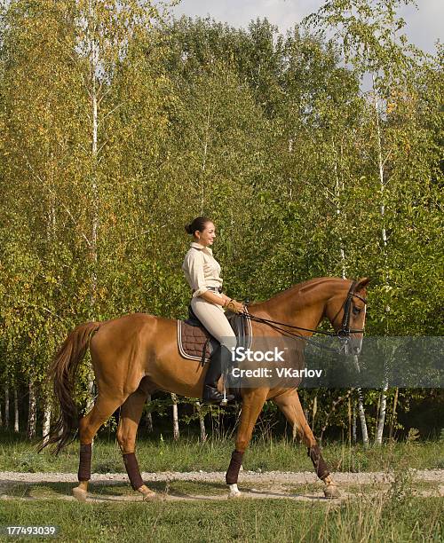 Photo libre de droit de Jeune Femme Chevauchant Un Cheval À Travers La Forêt banque d'images et plus d'images libres de droit de Activité