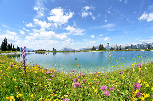 istock Alpine lake in summer 177493133