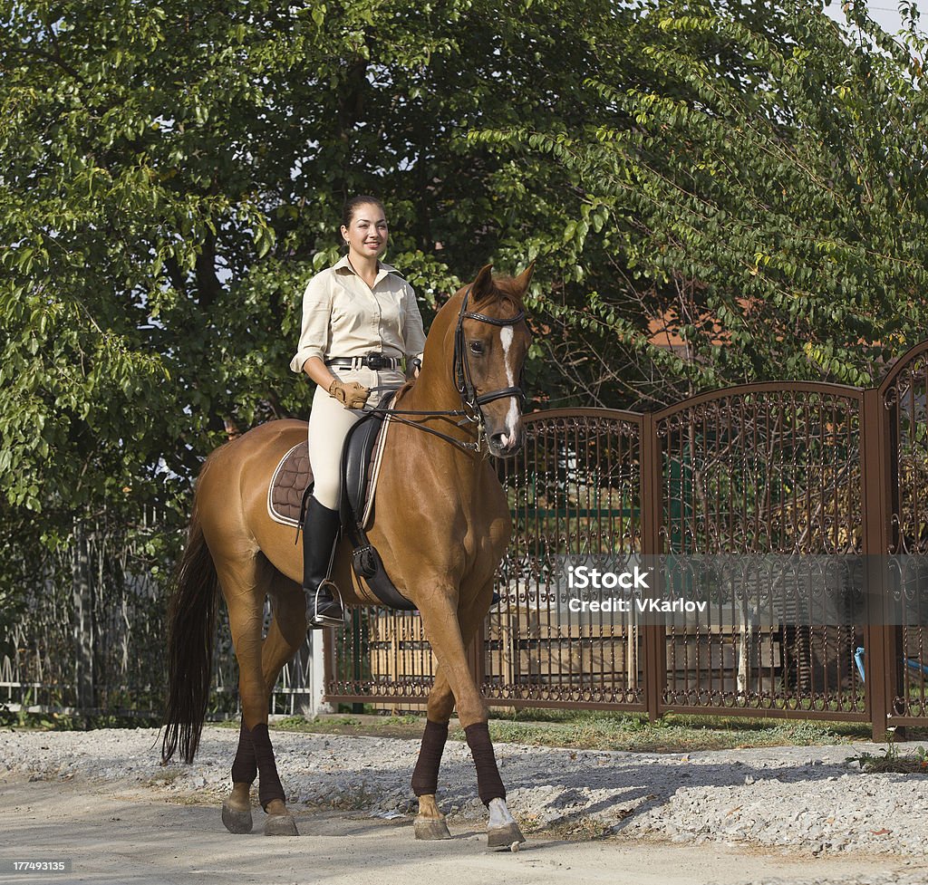 Bella sorridente donna di cavalcare a cavallo marrone in campagna. - Foto stock royalty-free di Abbigliamento sportivo