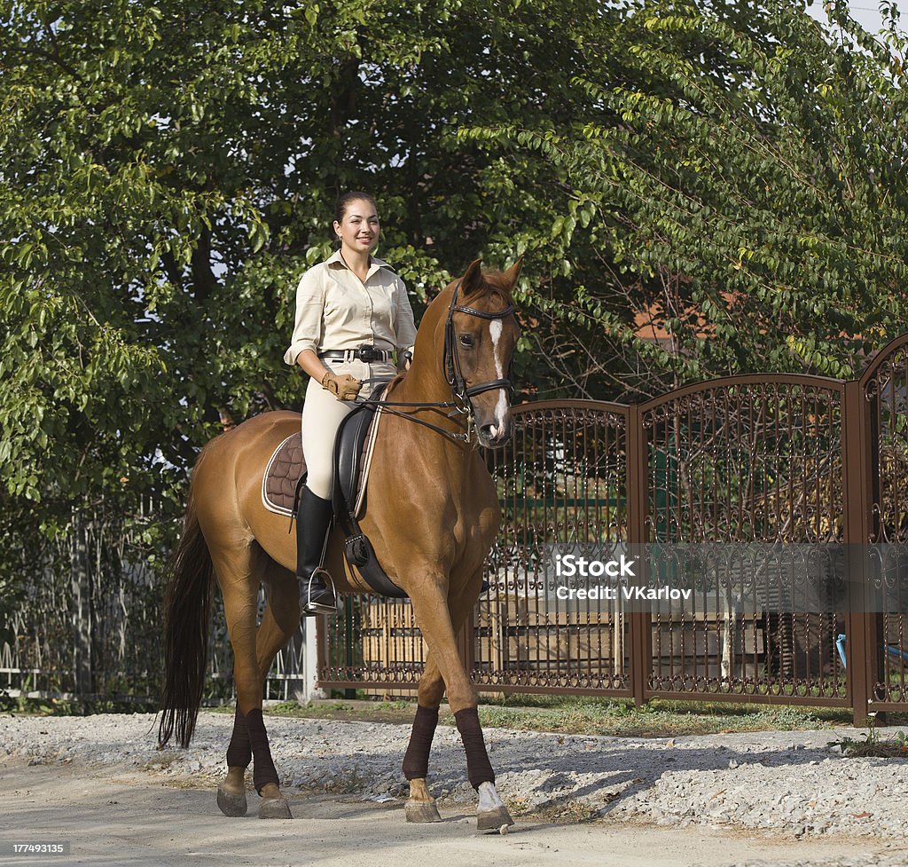 Linda e sorridente Mulher que monta um cavalo marrom em campo. - Royalty-free Adulto Foto de stock
