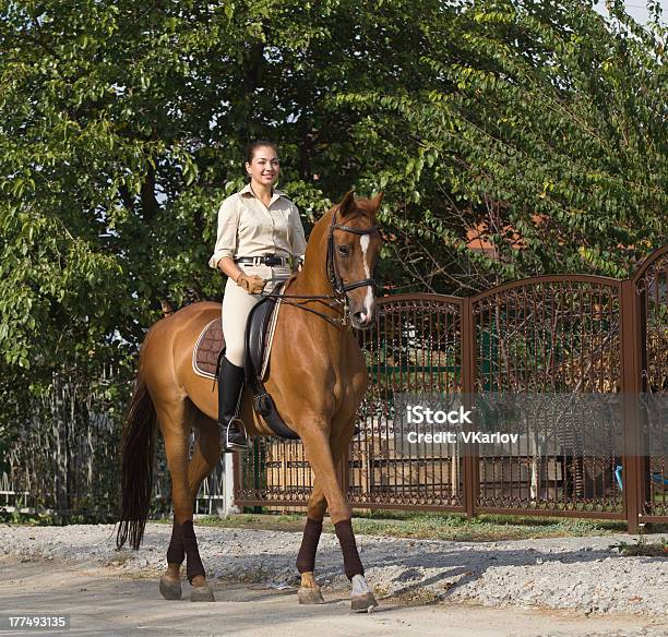 Linda E Sorridente Mulher Que Monta Um Cavalo Marrom Em Campo - Fotografias de stock e mais imagens de Adulto