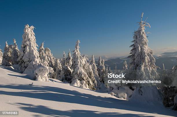 Schönen Winter Stockfoto und mehr Bilder von Abenddämmerung - Abenddämmerung, Alpen, Baum