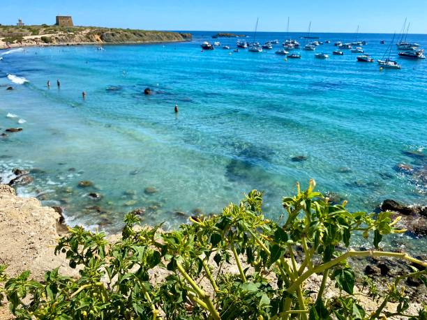 Spain - Tabarca Island - Alicante - Beach of Tabarca ( Platja de Tabarca )