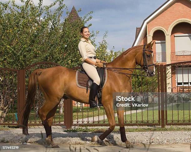 Photo libre de droit de Souriant Femme Chevauchant Un Cheval Brun Dans La Campagne banque d'images et plus d'images libres de droit de Activité