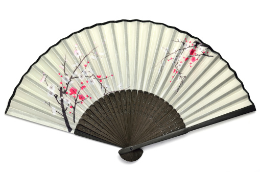 The Japanese folding fan containing the picture of the plum.