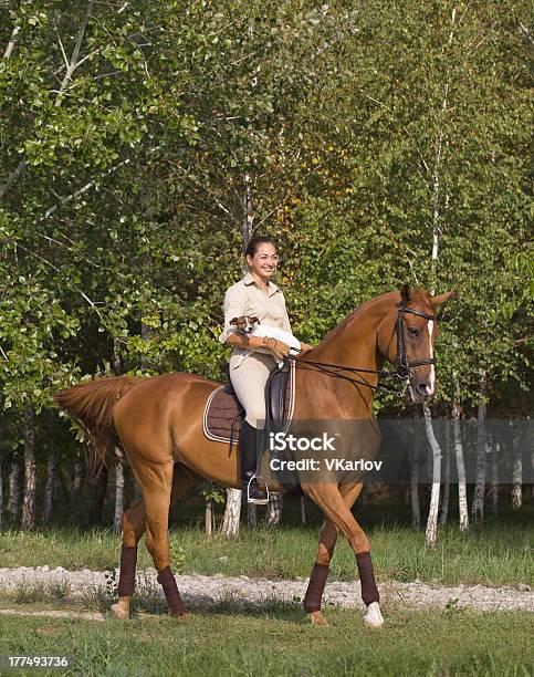 Giovane Donna Con Cane Guida Su Un Cavallo Attraverso Boschi - Fotografie stock e altre immagini di Abbigliamento sportivo
