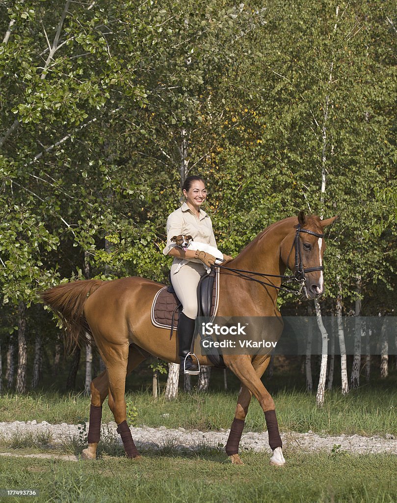 Jovem mulher com Cachorro conduzir num cavalo através de bosque - Royalty-free Adolescente Foto de stock