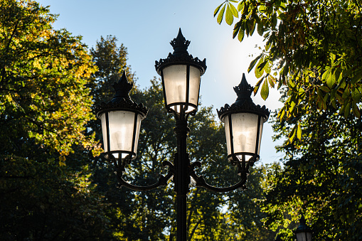 Park lamp in autumnal surrounding
