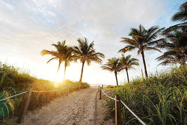 istock Sun Rising in South Beach 177493944