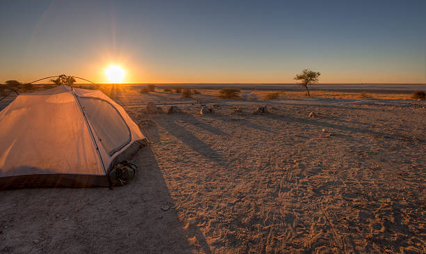 istock Sunset over the Makgadikgadi Pan 177494017