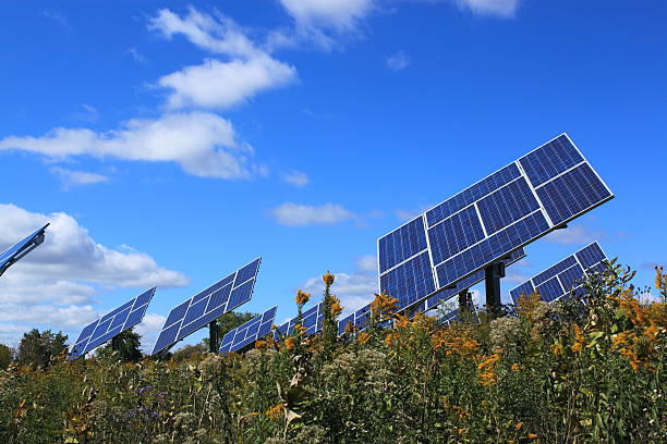 Solar panels installed in field stock photo