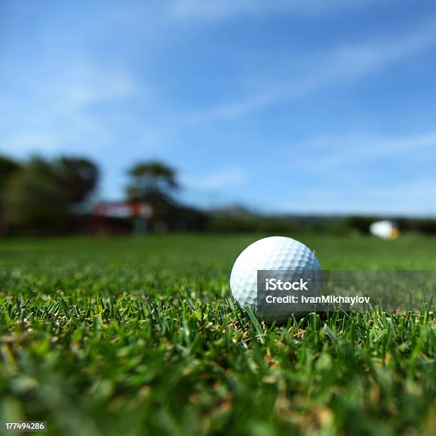 Pelota De Golf En El Campo Foto de stock y más banco de imágenes de Aire libre - Aire libre, Ajardinado, Artículos deportivos