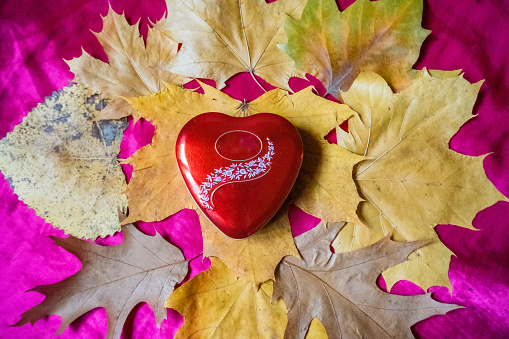 Thanksgiving. Present of Valentine on pink silk. Red heart with surrounded by autumn leaves . High quality photo