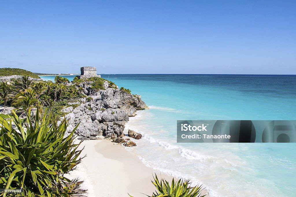 Tulum beach "Beautiful beach with turquoise water  in Tulum Mexico, Mayan ruins on top of the cliff." Tulum - Mexico Stock Photo