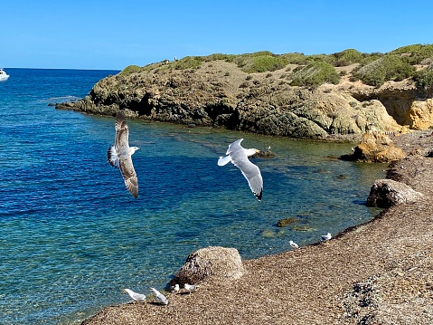 Spain - Tabarca Island- near Alicante