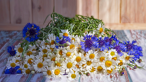 A bouquet of daisies and cornflowers on a wooden background. A beautiful bouquet of blue and white wildflowers in sunlight