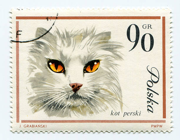 istock European cat on a vintage, canceled post stamp from Poland 177494737