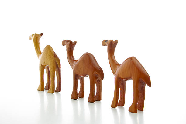 istock Wooden camels 177494924