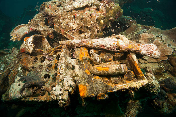 istock Artifacts on the 80mm deck gun of the Helmut Wreck 177495067