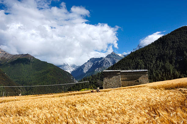 De superbes paysages en Chine - Photo