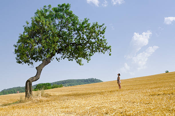 istock Girl watching a big tree in summer 177496220